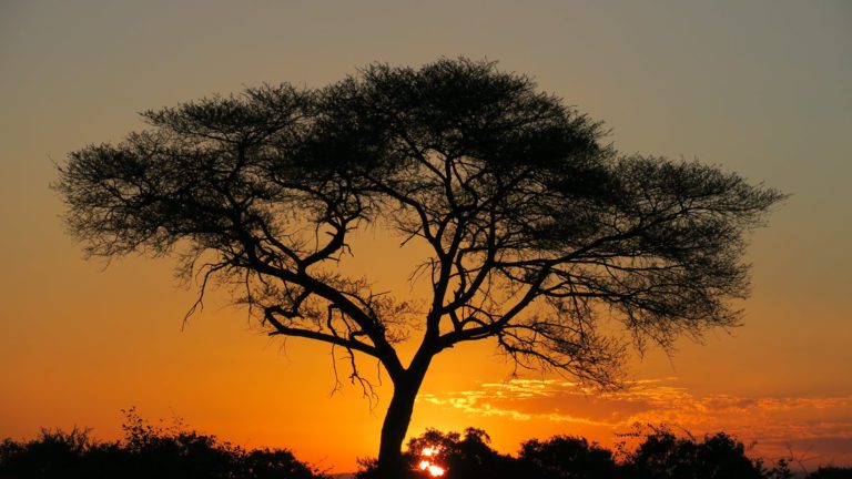 Road Trip to Chirundu