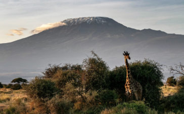 Kenya hosts Routes Africa 2019