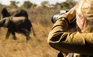 Kenya a growing photographic safari destination