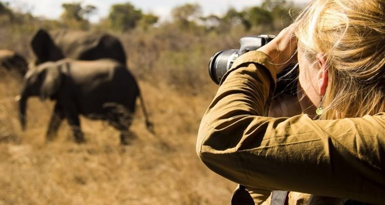Kenya a growing photographic safari destination