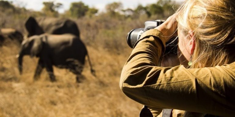 Kenya: a growing photographic safari destination