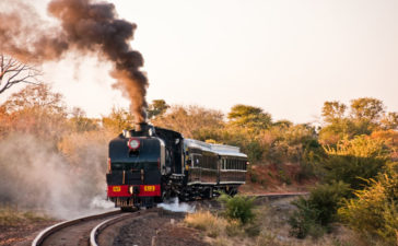 NRZ partners ZTA to market its safari steam trains and museum