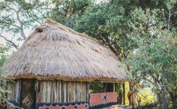 Three new safari camps open in Zimbabwe