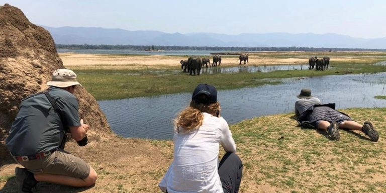 Zimparks invites bids for photographic site leases