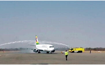 Air Zim resumes domestic flights