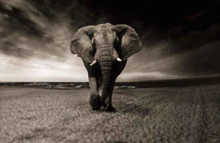 First national tourism satellite account launched in Zimbabwe