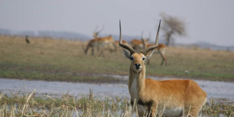 Zambian National Park joins UNESCO Biosphere Network