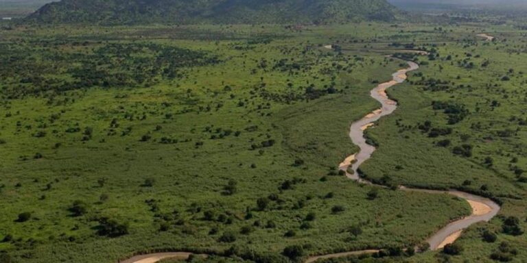African Parks to manage South Sudan parks