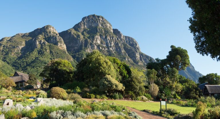 Press Release: ILTM Africa 2023 returns to award-winning South African nature location