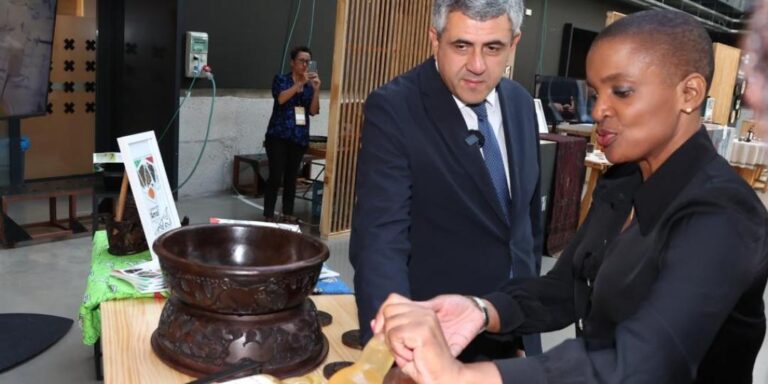 UNWTO gives Zimbabwe a major educational boost