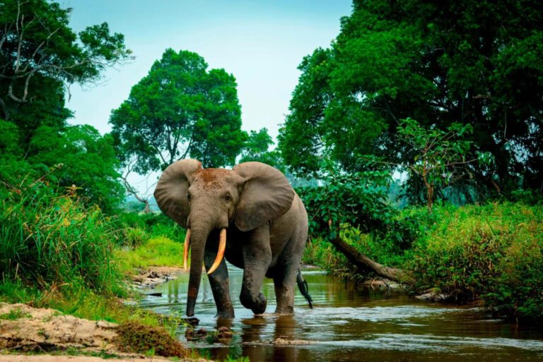 Sub-Saharan Africa just hit 100 World Heritage Sites. UNESCO says that’s not enough