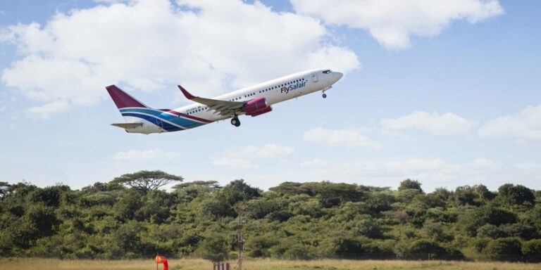 Explore Kruger National Park Faster: Nonstop Flights Launch from Cape Town