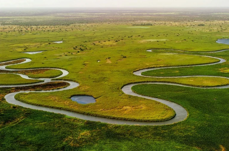 Major Shake-Up for Botswana’s Okavango Delta