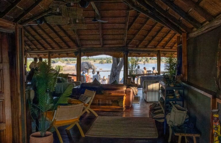 Nehimba Lodge Unveils Stunning New Look and Thriving Wildlife Sanctuary