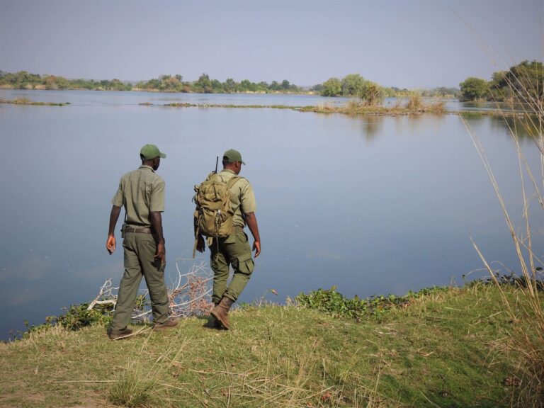 Victoria Falls Anti-Poaching Unit Fundraising Golf Day to be Held on World Tourism Day