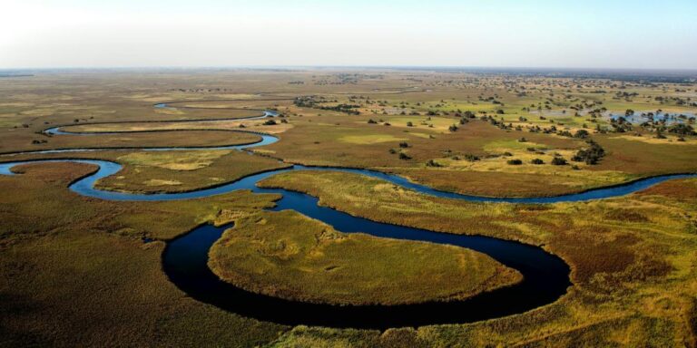 Luxury Safari Brand Expands to Botswana