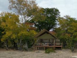 A 3D rendering of one of the tents at Muddy Teak. Source: Wild Expeditions