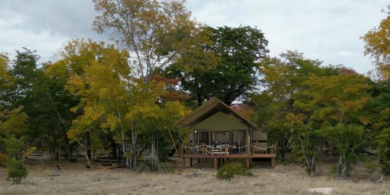 Muddy Teak: A New Exclusive-Use Seasonal Camp in Hwange