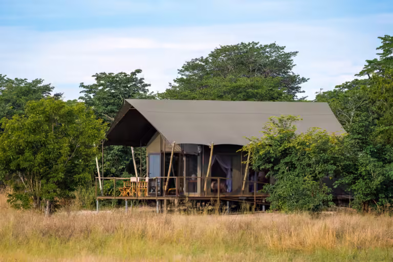 New Exclusive-Use Camp Opens in Hwange