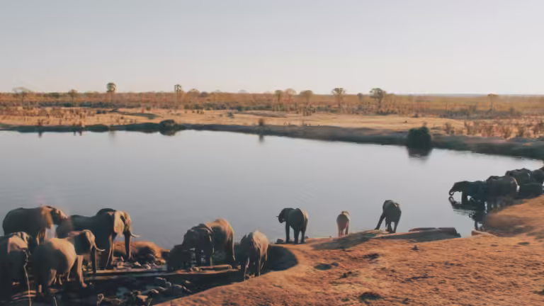 New safari circuit launches in Zimbabwe