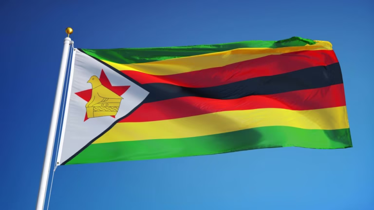 Zimbabwe shifts arrival forms online